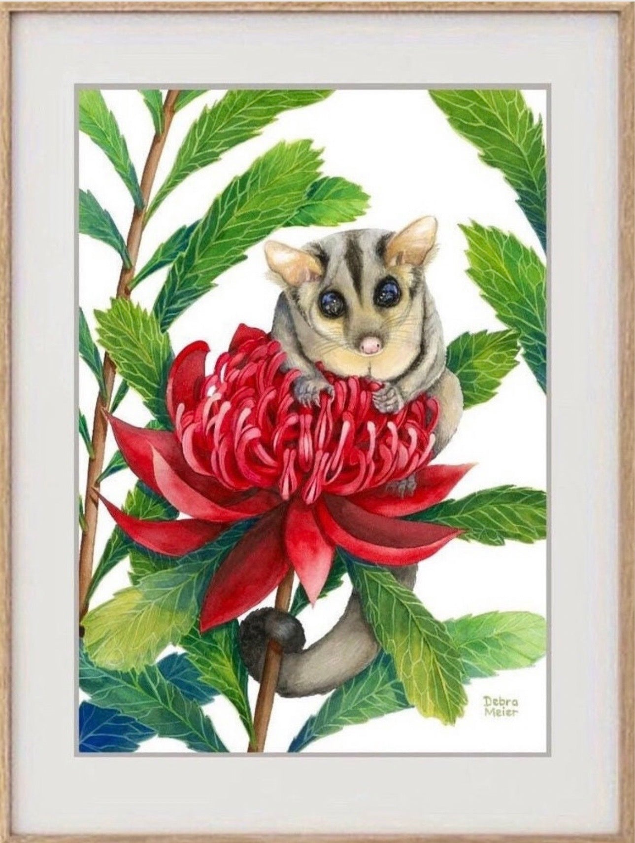 Sugar Glider art print by Debra Meier