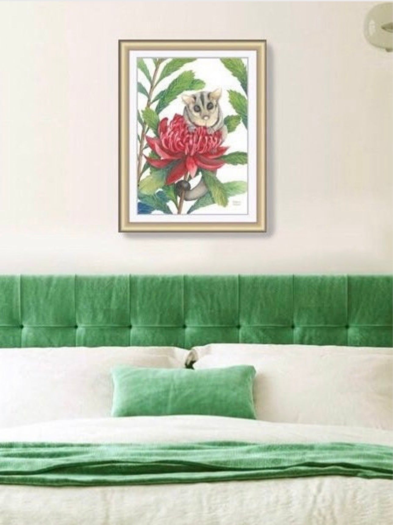 Sugar Glider art print by Debra Meier