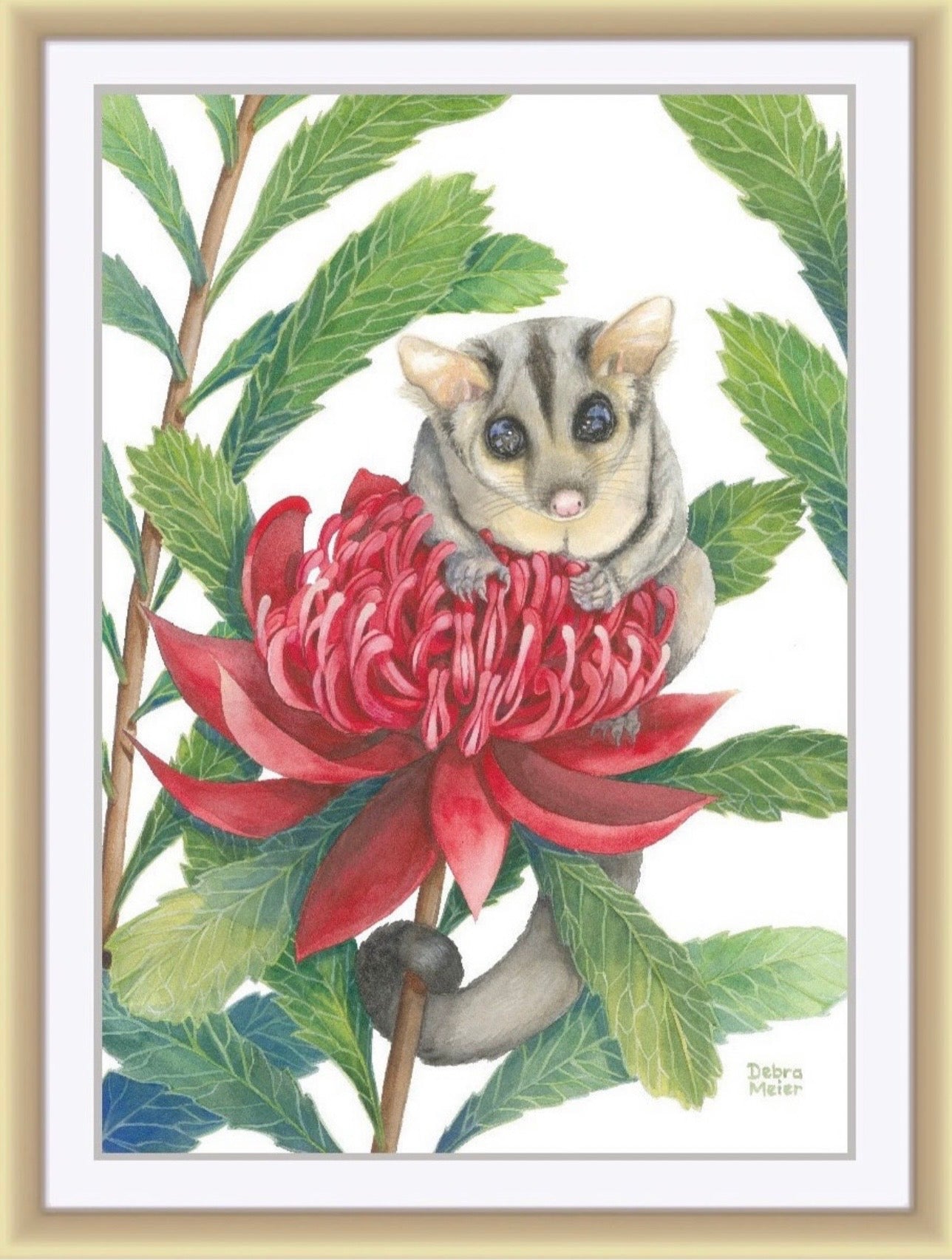 Sugar Glider art print by Debra Meier