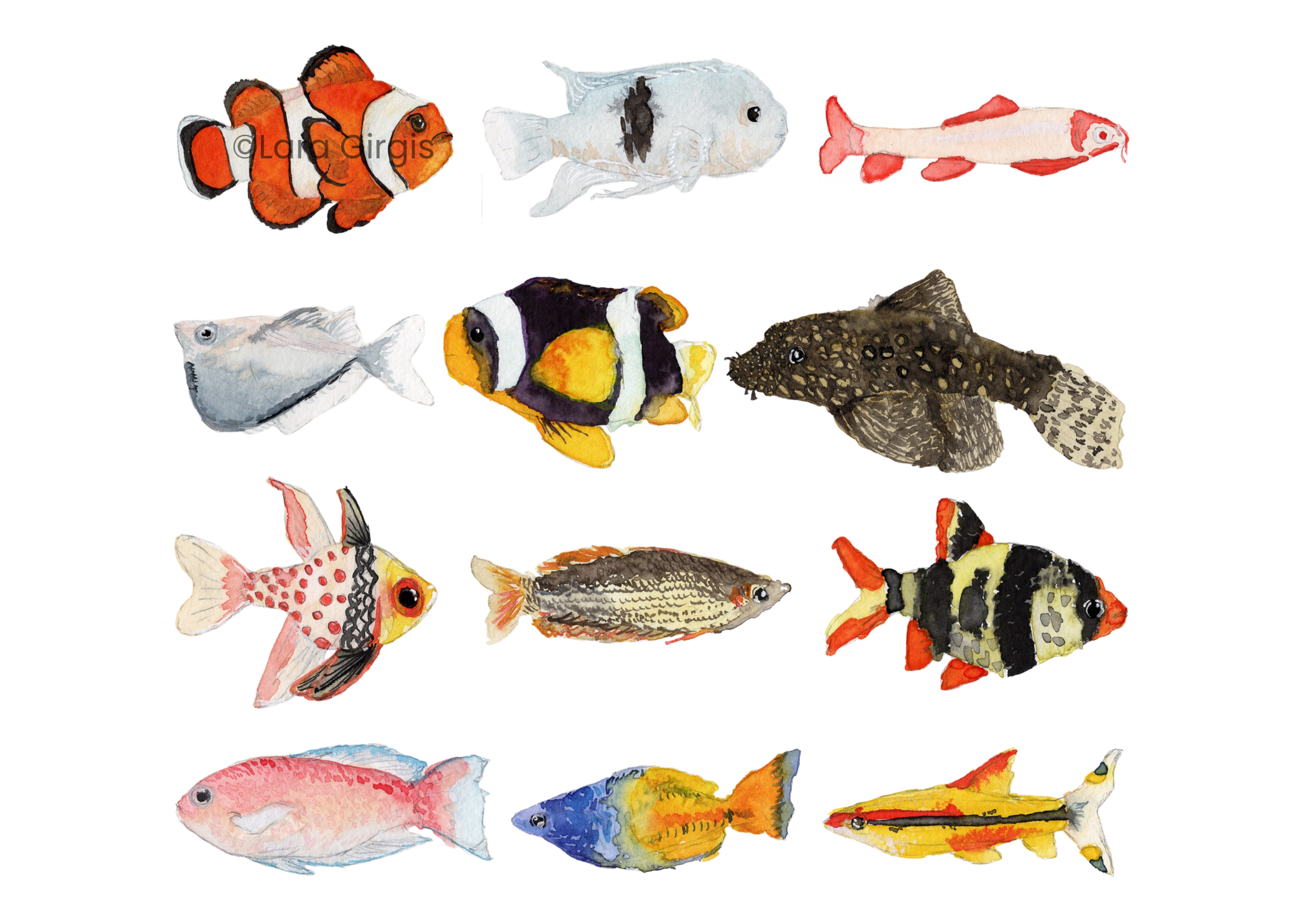 Aquarium Fish - art print