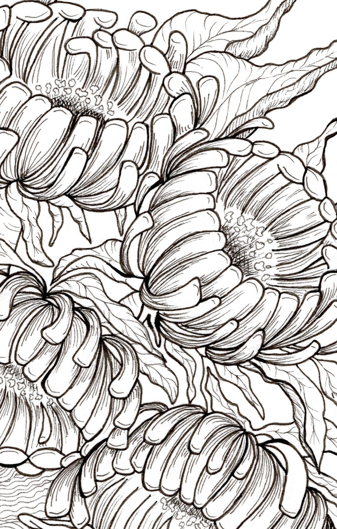 Resting in the Flower Patch - A4 Print