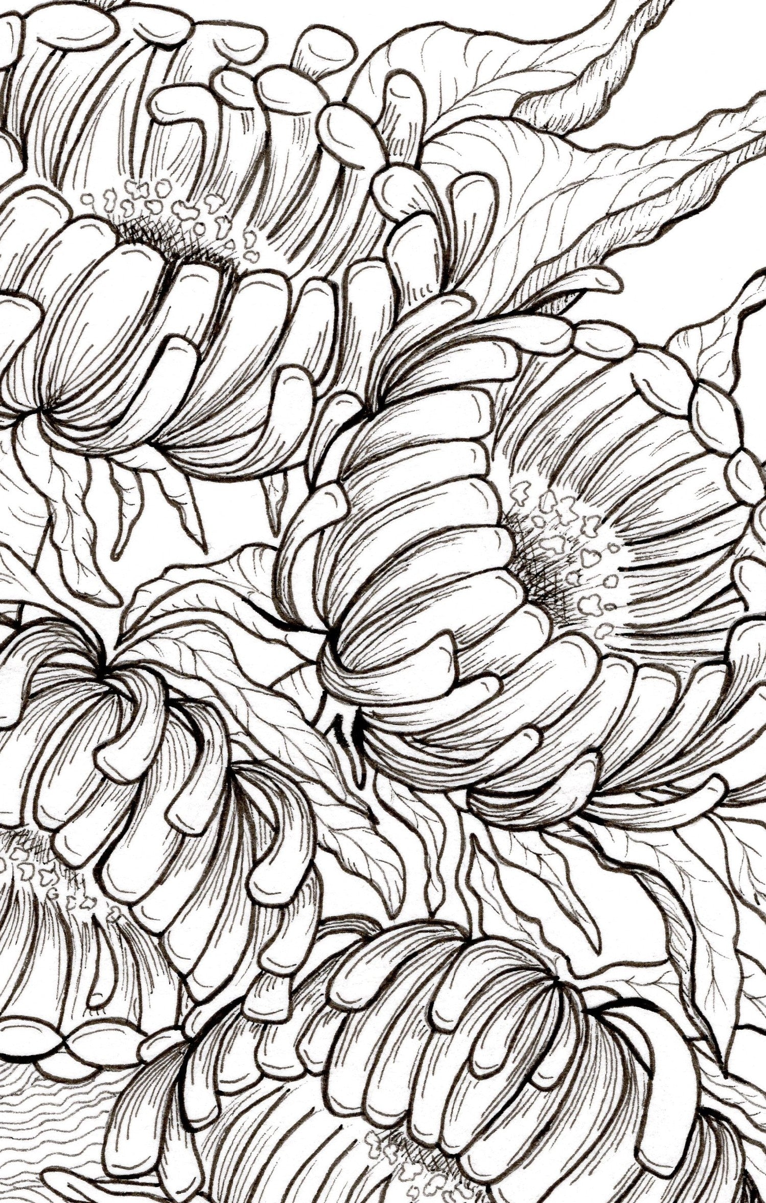 Resting in the Flower Patch - A4 Print