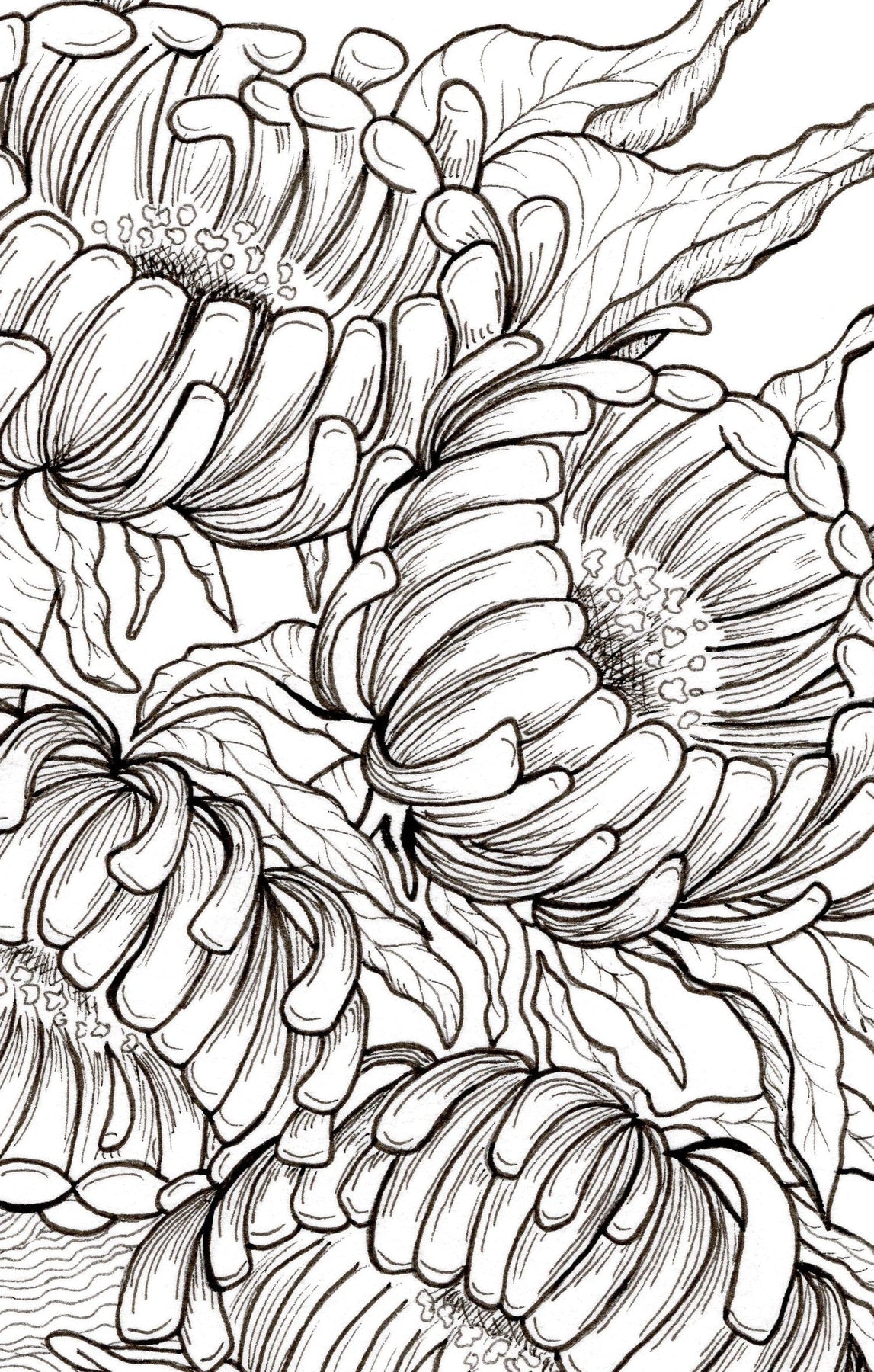 Resting in the Flower Patch - A5 Print