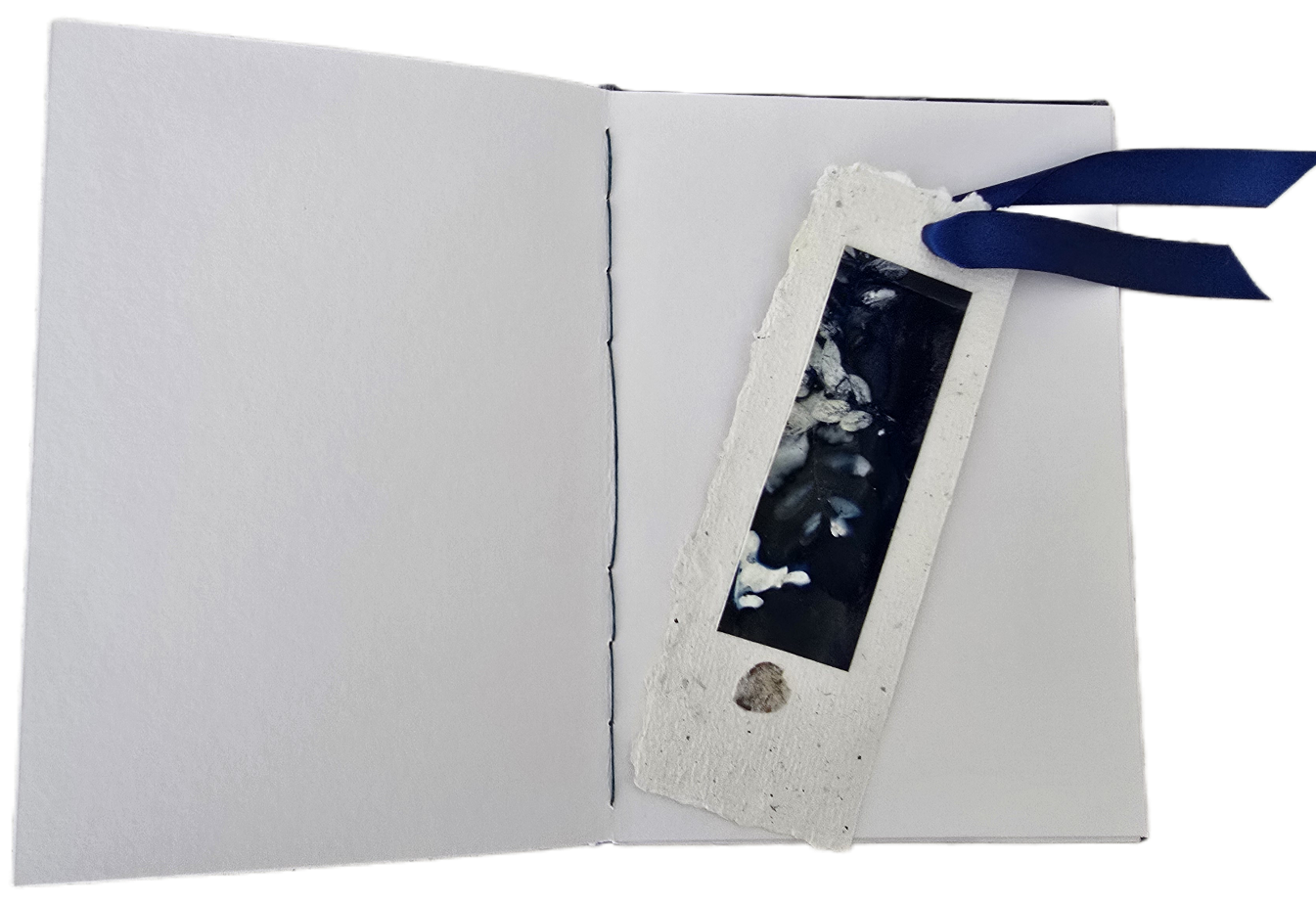 Handmade Coptic Stitched Journal – Botanical Original Art Cover