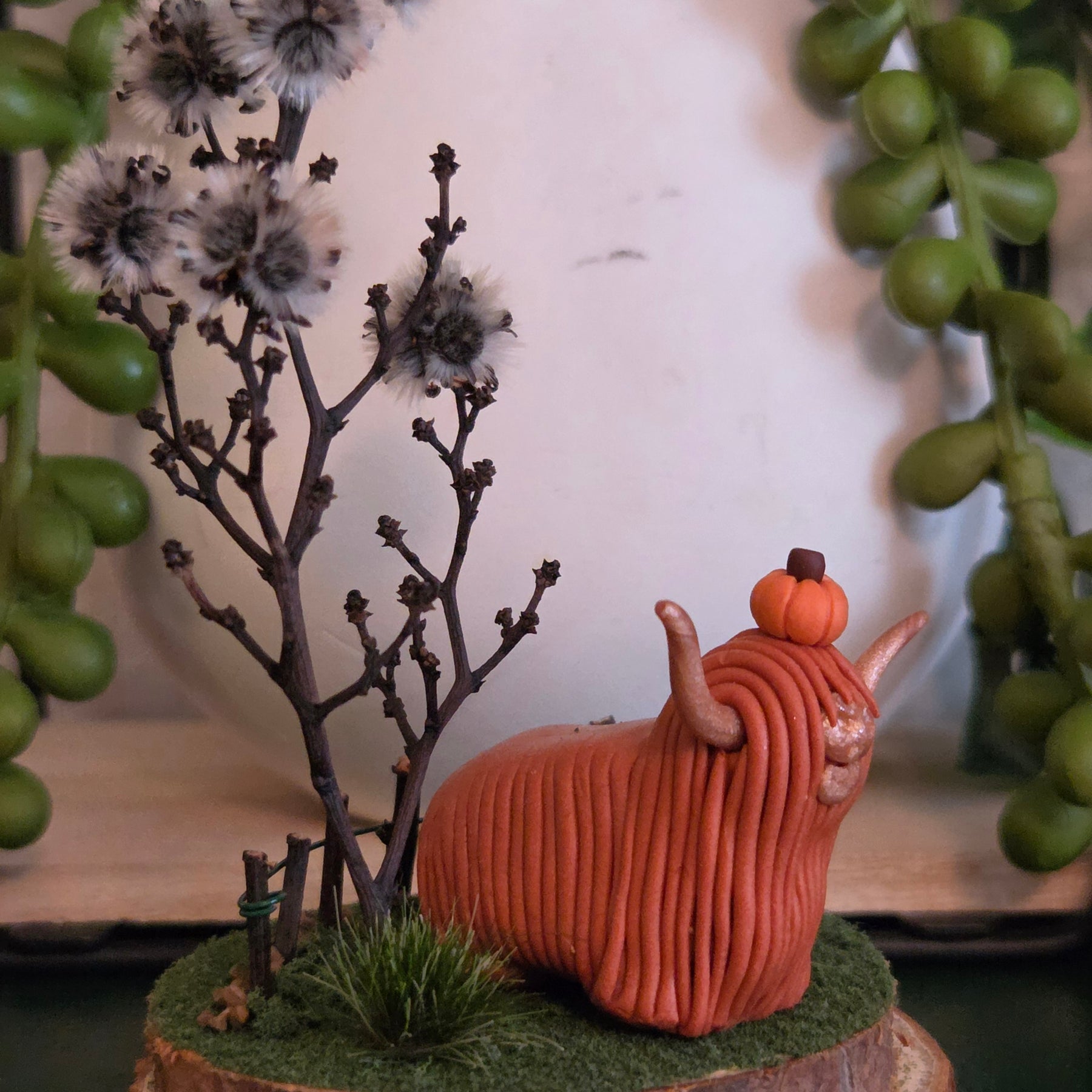 Highland Cow - Willow