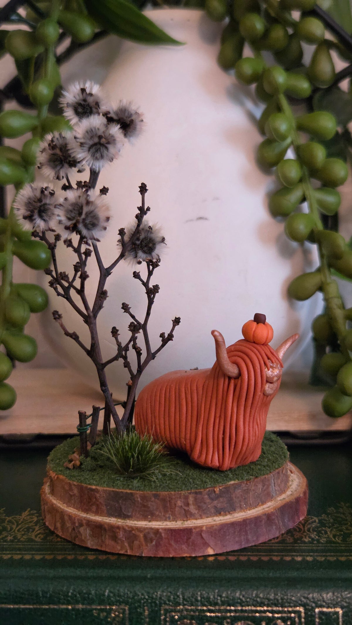 Highland Cow - Willow