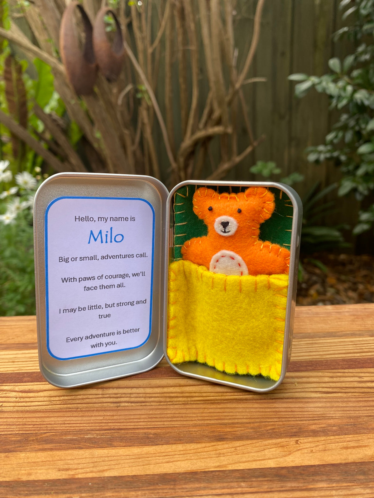 Teddy in a tin - Milo #1