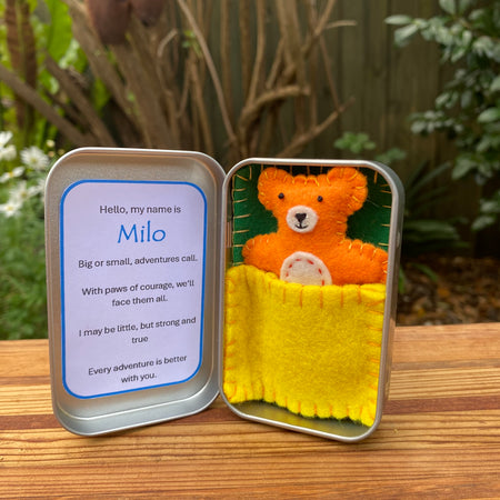 Teddy in a tin - Milo #1