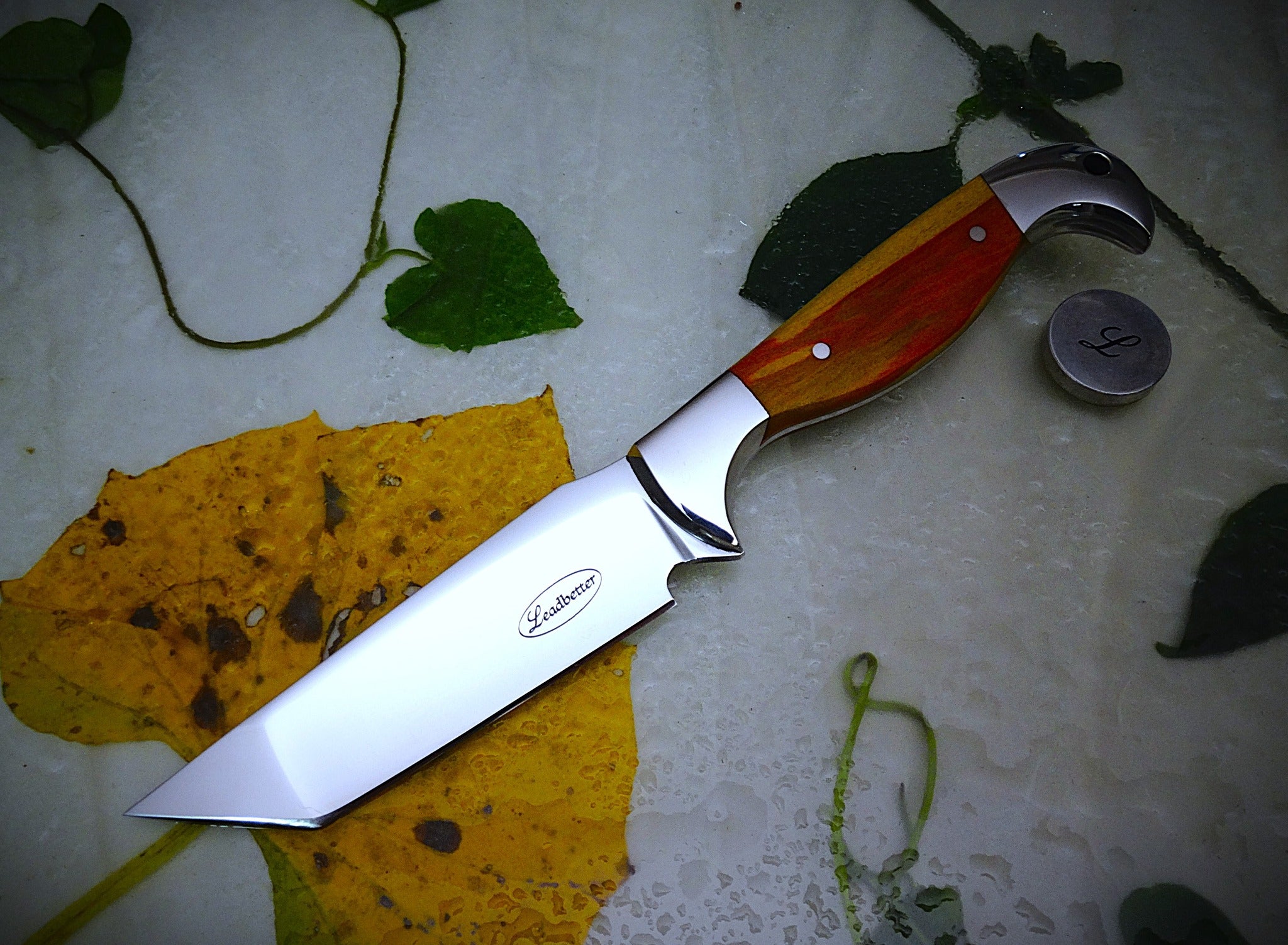 Fixed blade Tanto knife and Leather sheath