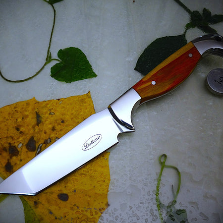 Fixed blade Tanto knife and Leather sheath