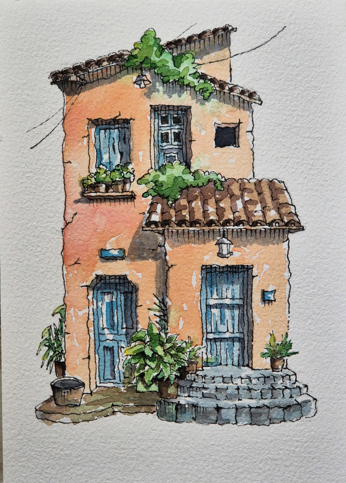 The house the plants chose