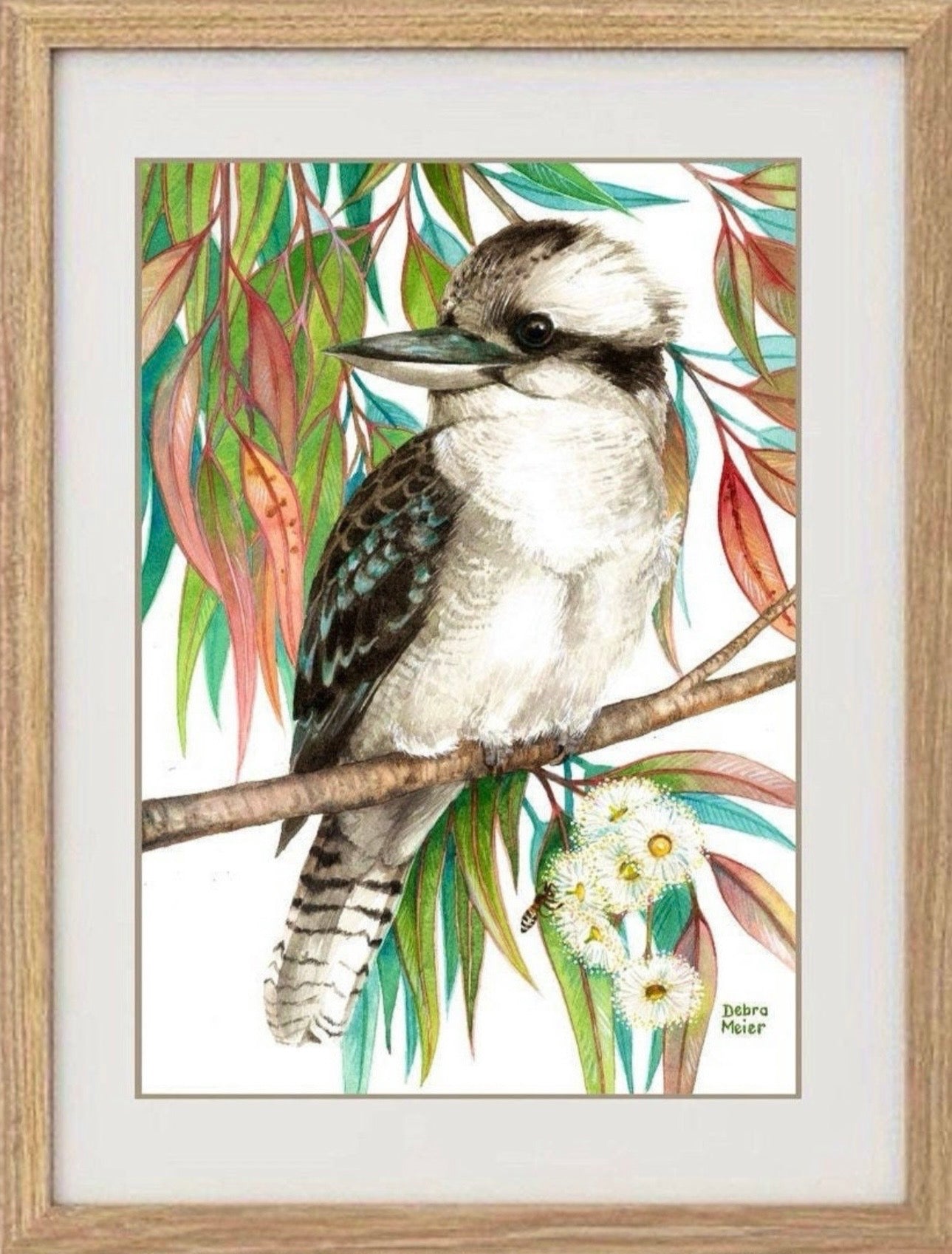 Kookaburra with Gumleaves art print by Debra Meier Art