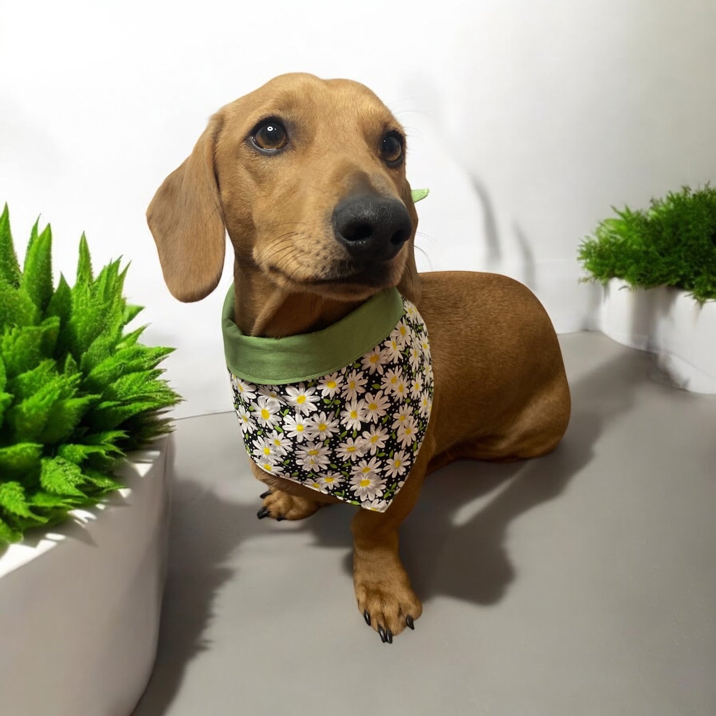 Bandana - Tie up or Collar fit for dog, puppy or Kitten, Handmade Pet clothing/costume