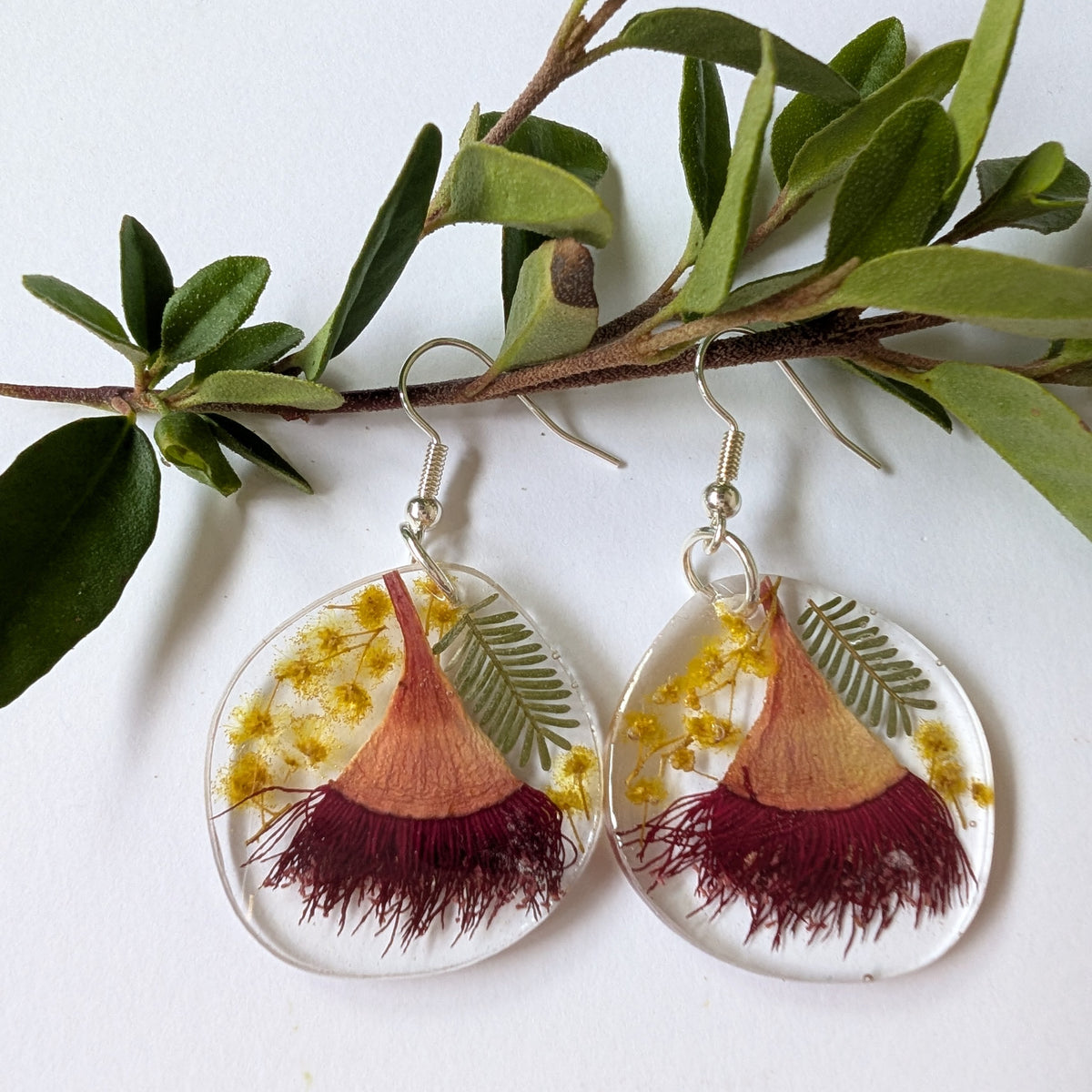 Real Australian Native Flower Resin Dangle Earrings