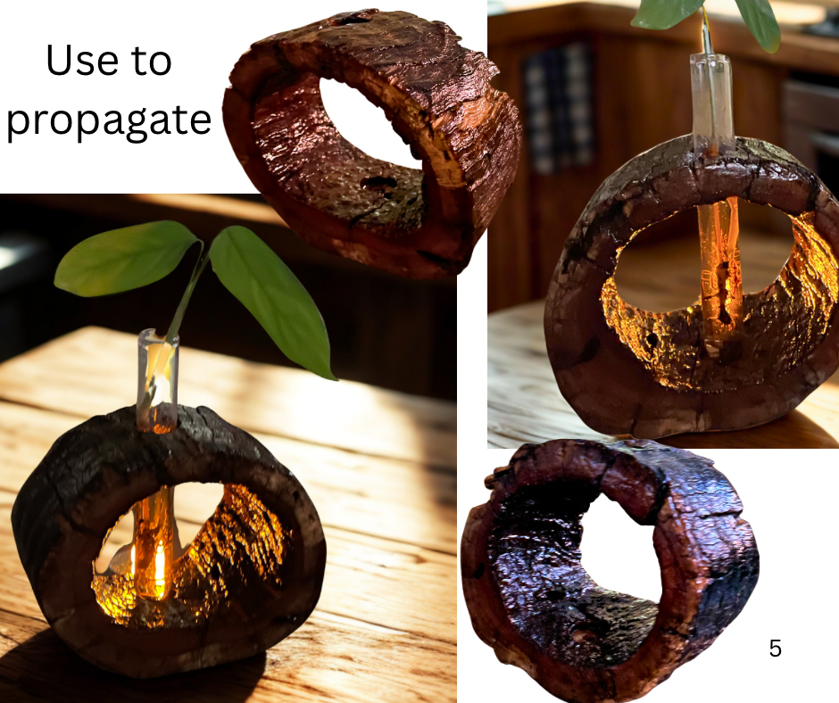 Rustic log vase - half