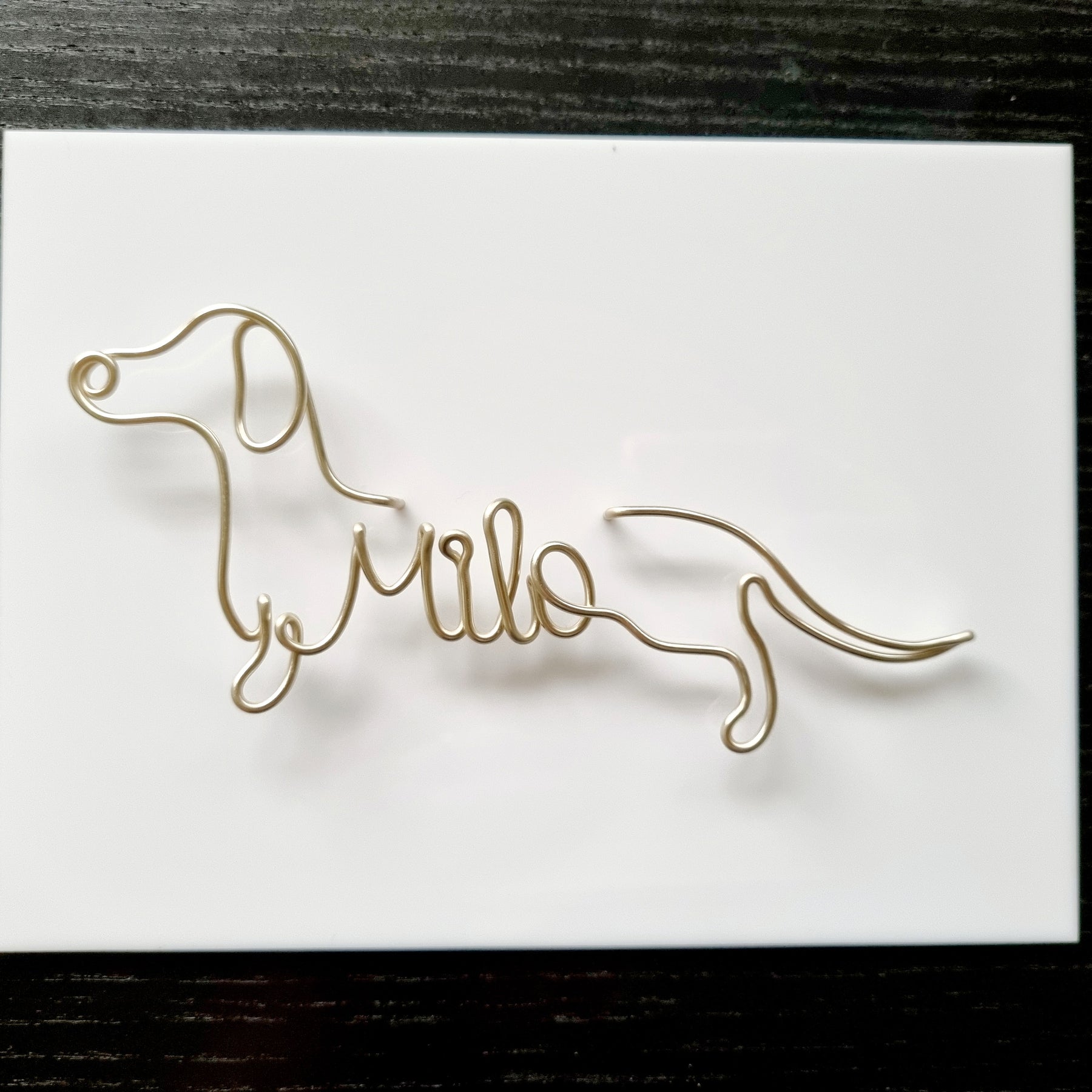 Personalised Dachshund Wire Art Plaque | Custom Sausage Dog Name Sign | Wire Dog Portrait Acrylic Plaque | Custom Colour Dog Wall Art | Pet Name Gift