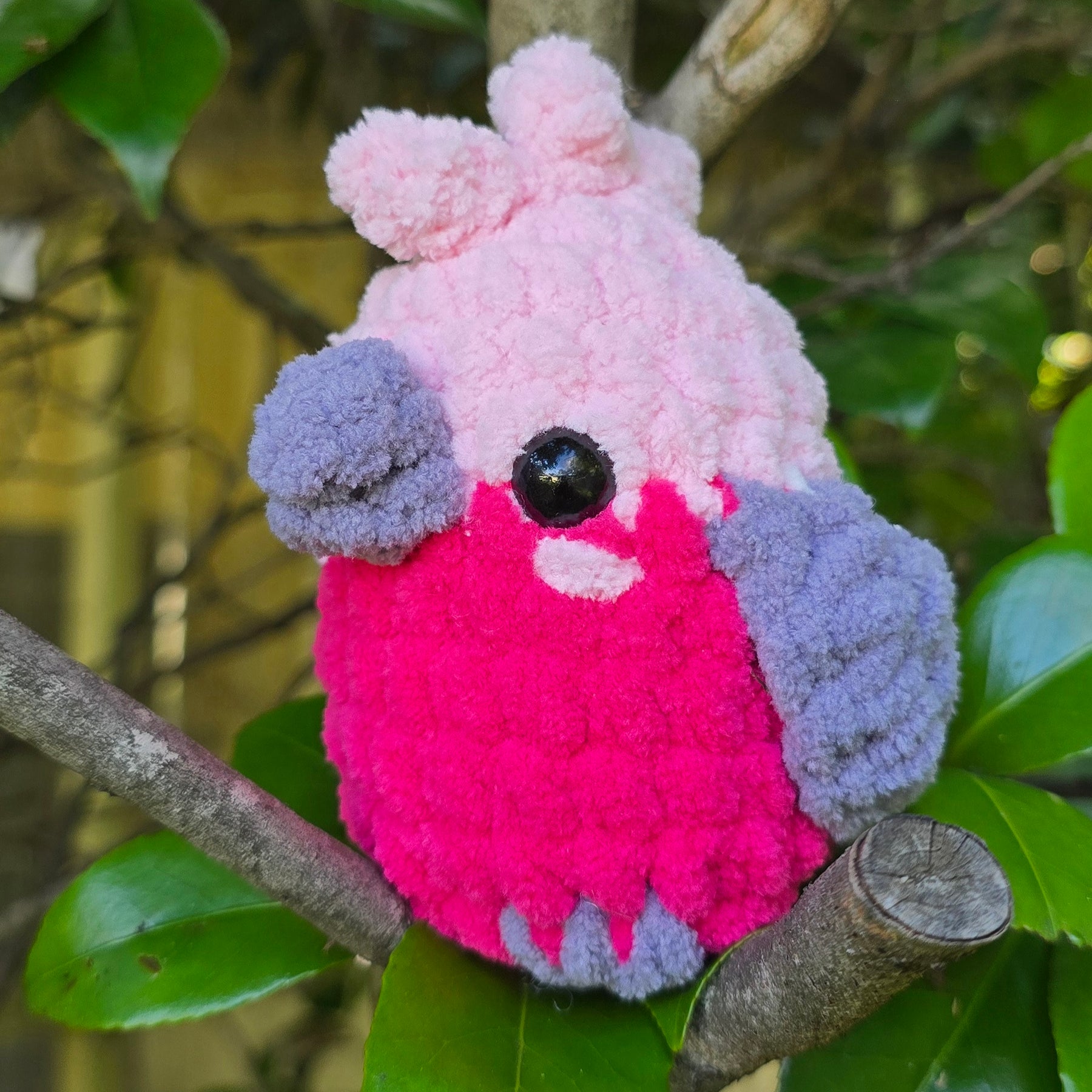 Crochet Australian Birds