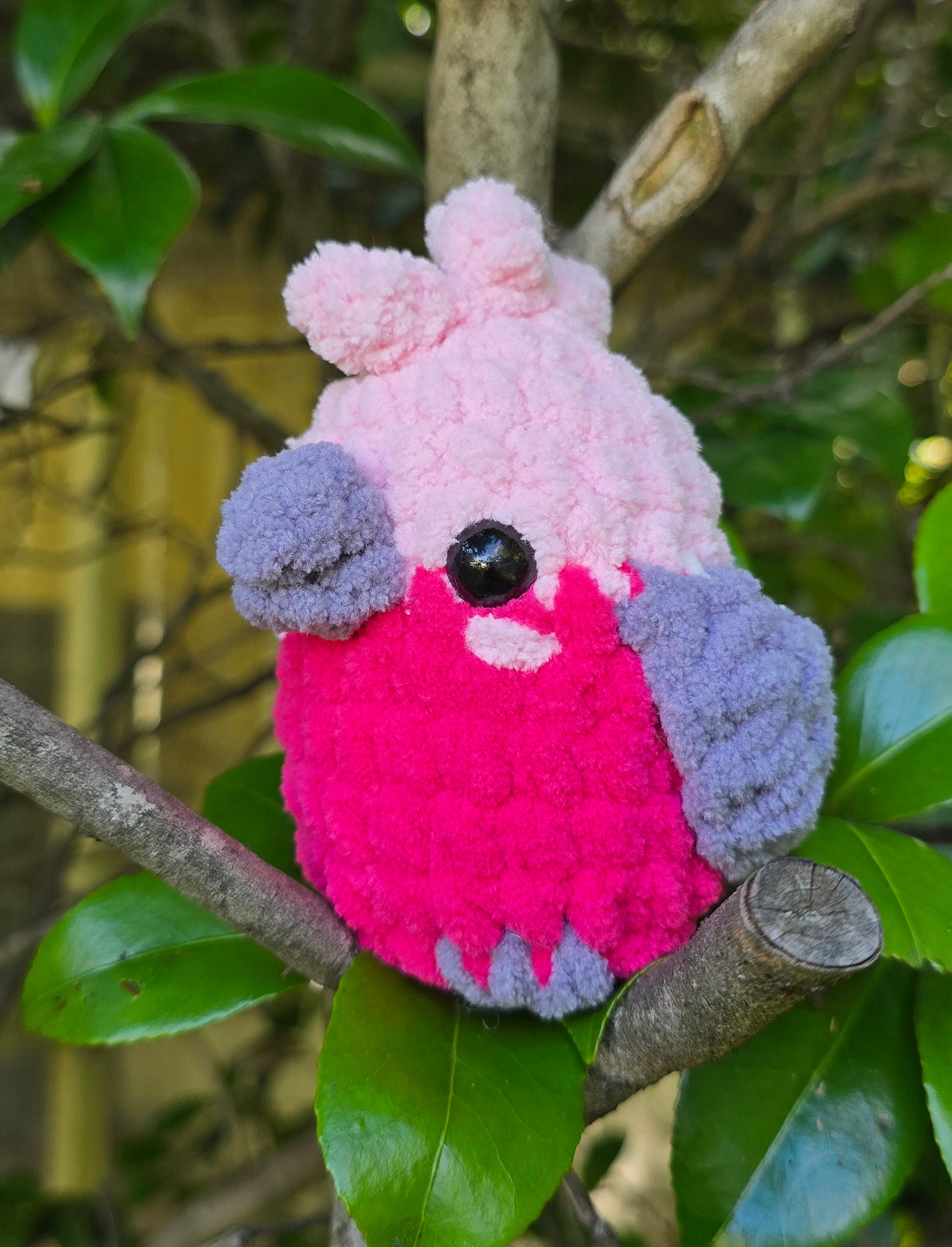Crochet Australian Birds