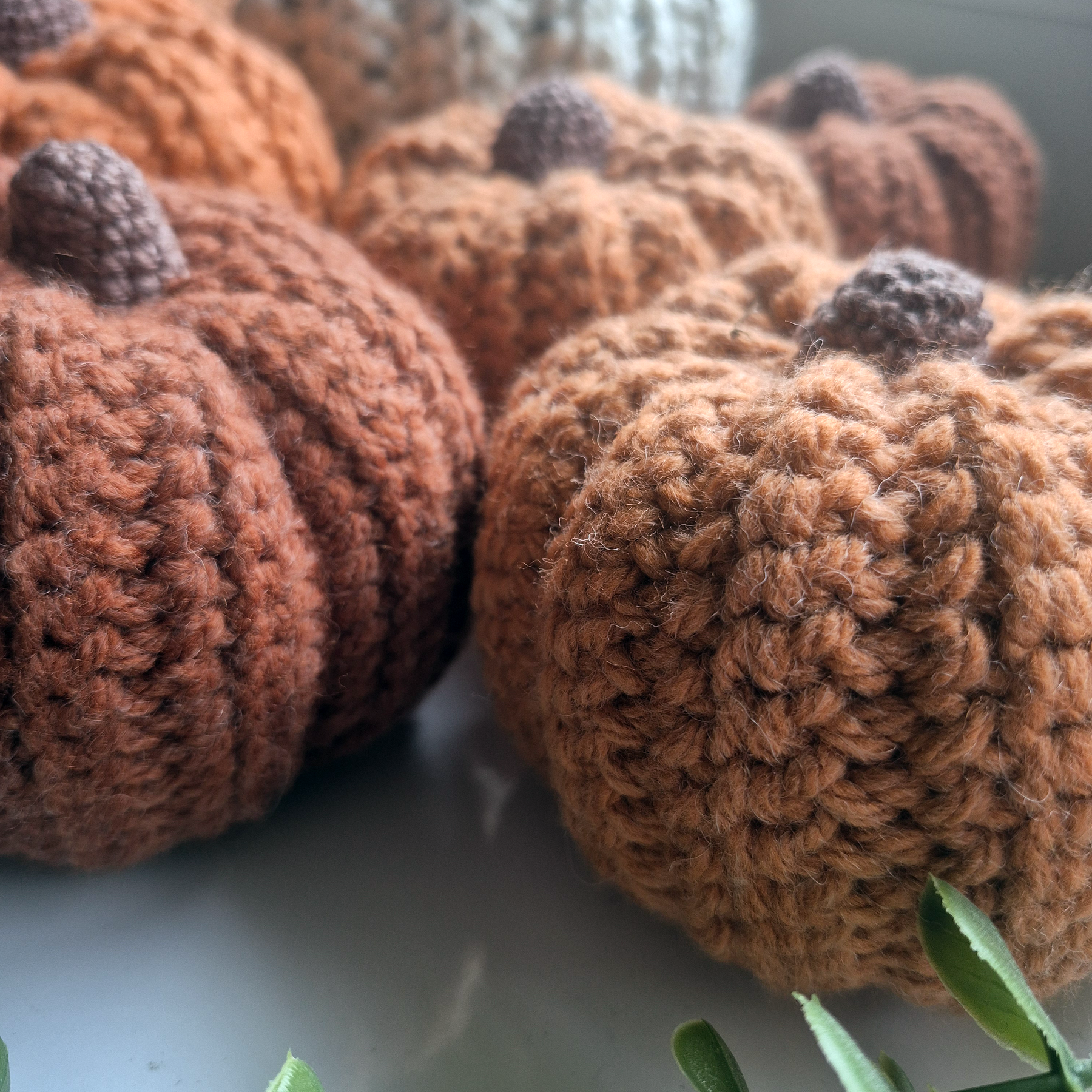 PUMPKIN MAGIC | Terracotta
