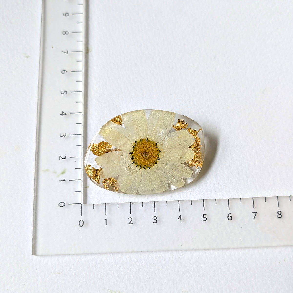 Real White Daisy Pressed Resin Floral Brooch Pin