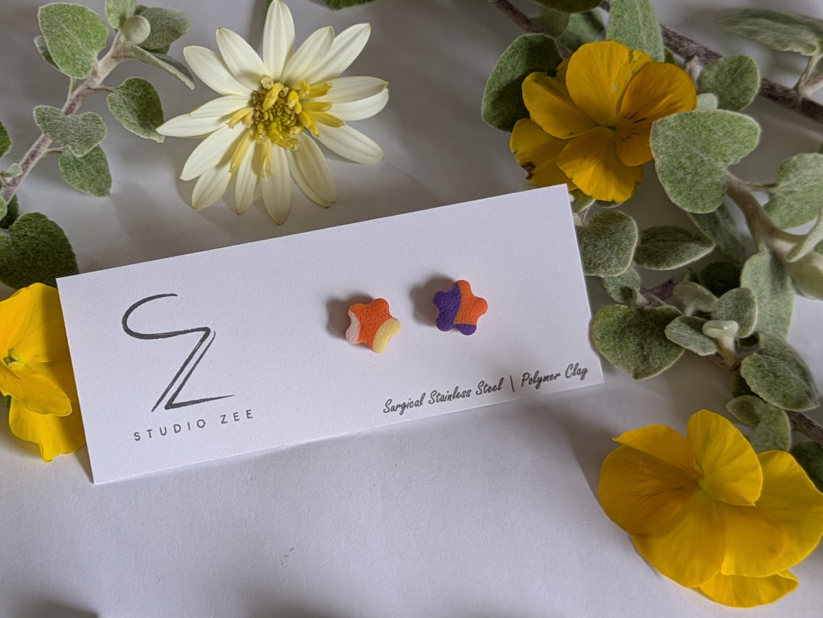 Colourful Stud Earrings