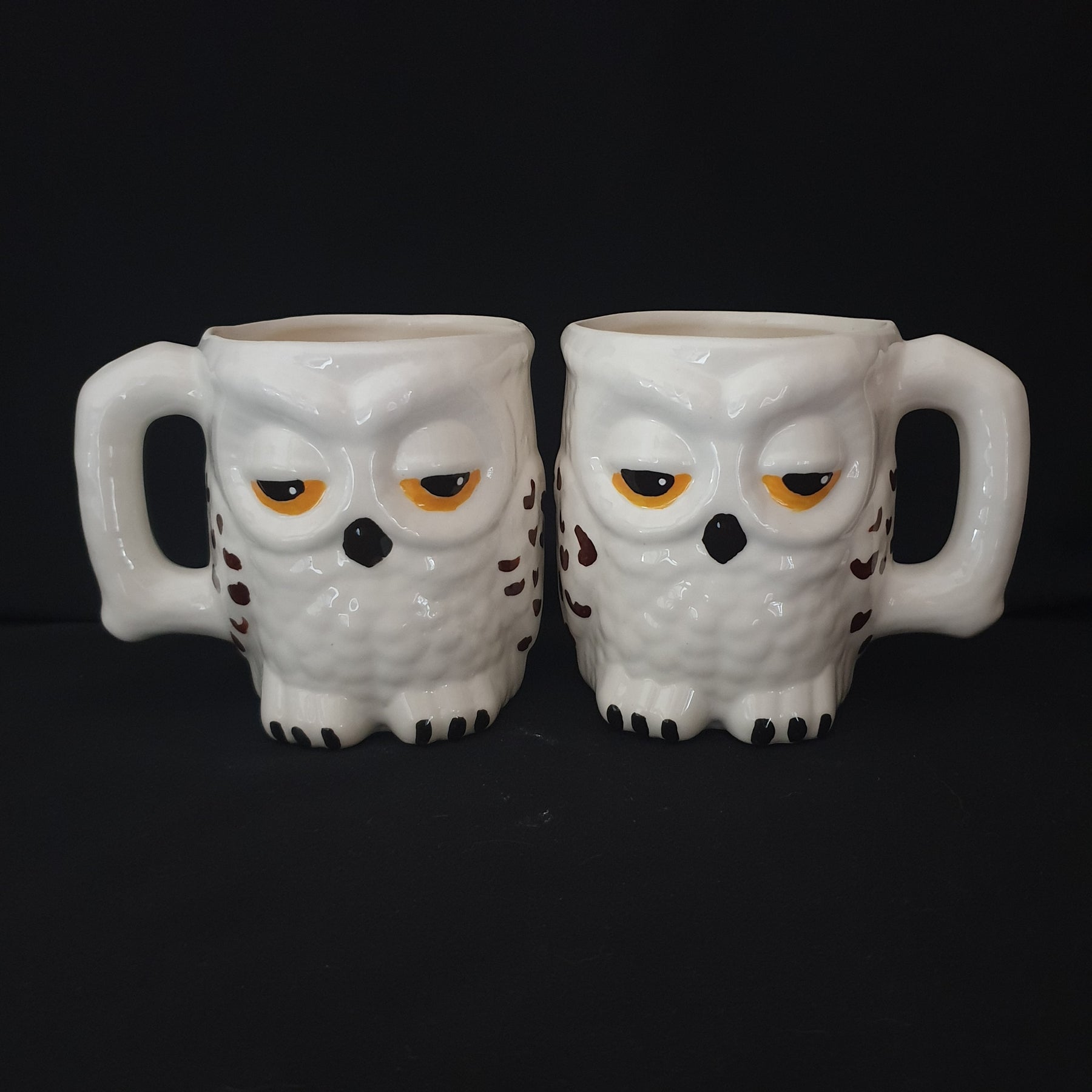 Owl Mug (Ceramic)