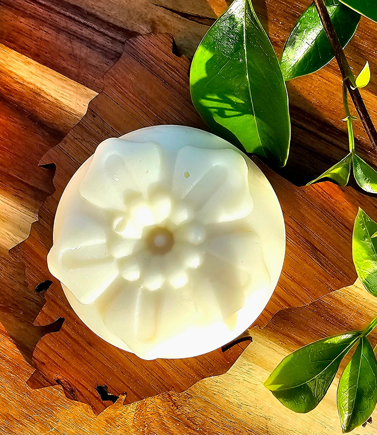 Calendula Solid Body Balm