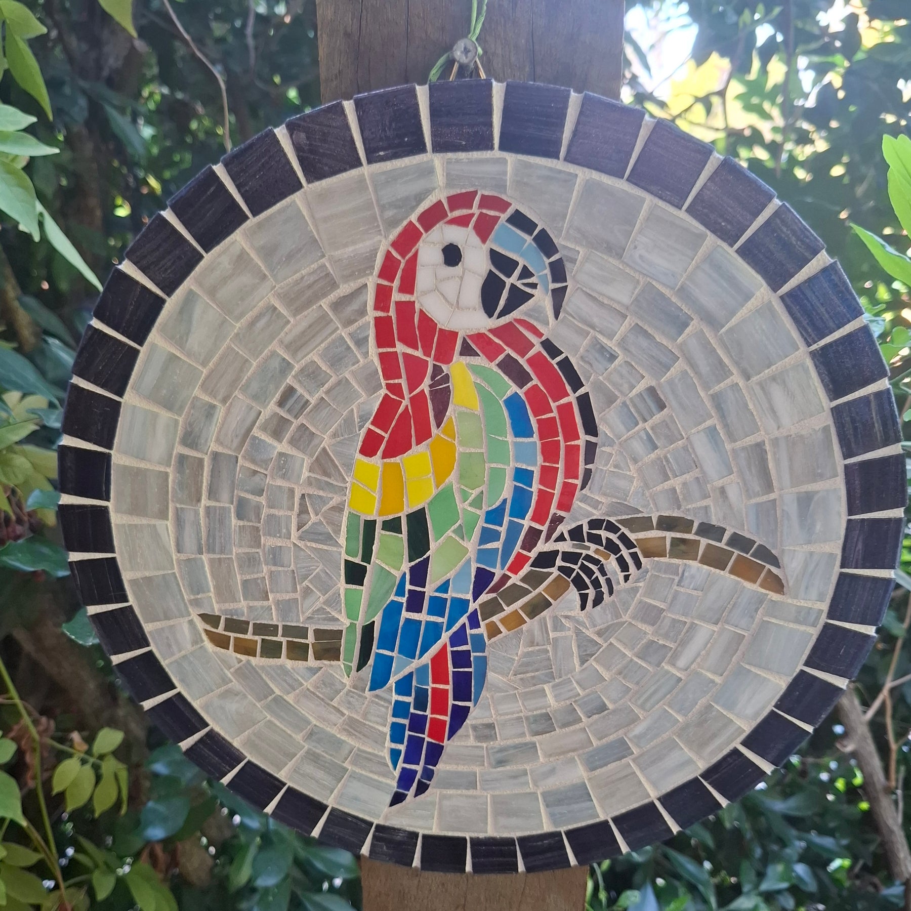 Gorgeous Mosiac Parrot