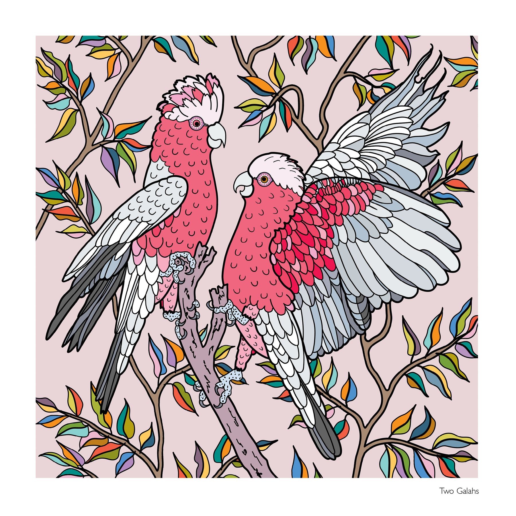 2027 Native Australian Birds and Plants Calendar