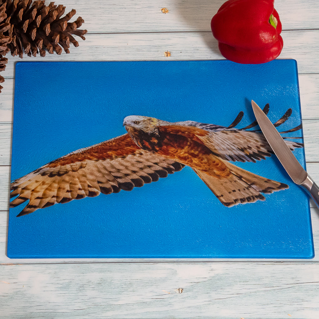 Tempered Glass Chopping Board - Square-tailed Kite - Cutting Board
