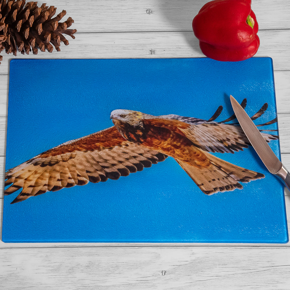 Tempered Glass Chopping Board - Square-tailed Kite - Cutting Board