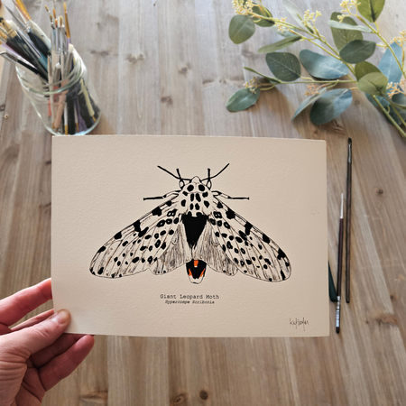 Watercolour Art Print - 'Giant Leopard Moth'