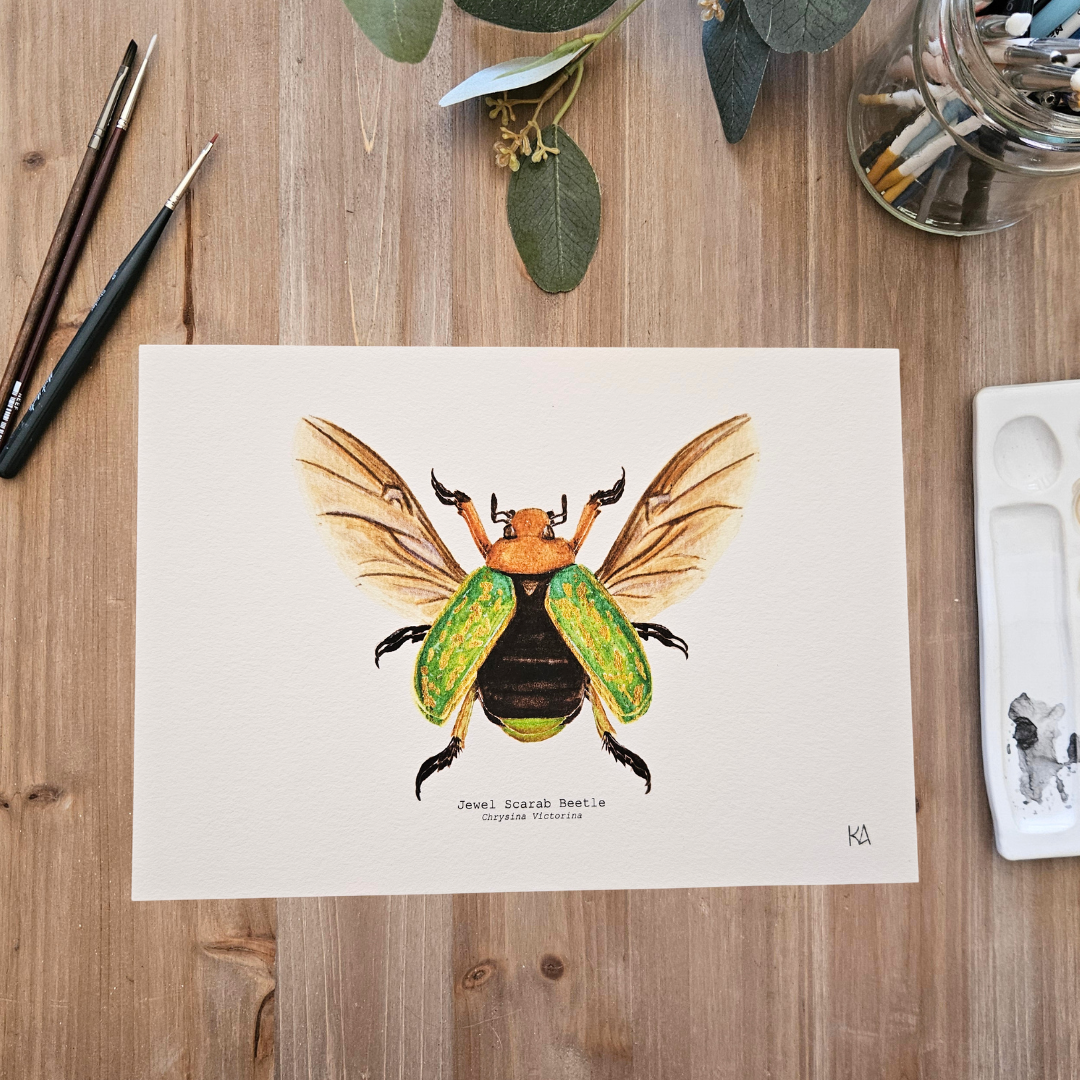 Watercolour Art Print - 'Jewel Scarab Beetle'