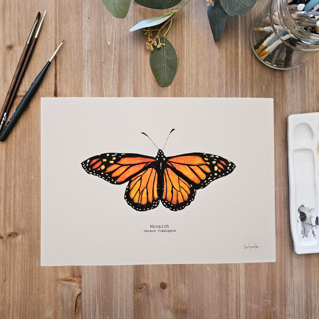Watercolour Art Print - 'Monarch Butterfly'