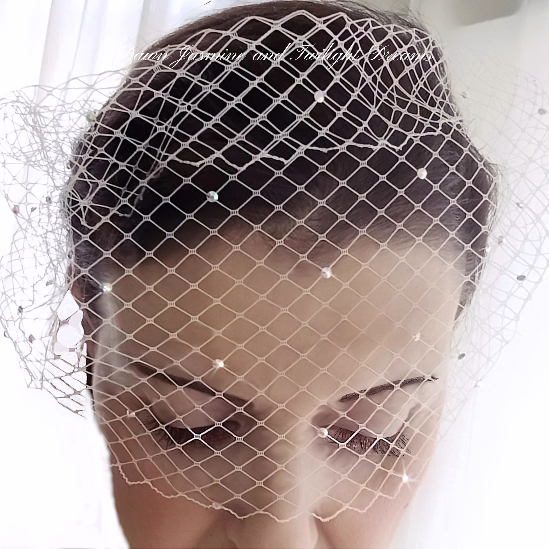 Swarovski Crystal Bandeau Birdcage Veil | The Grace