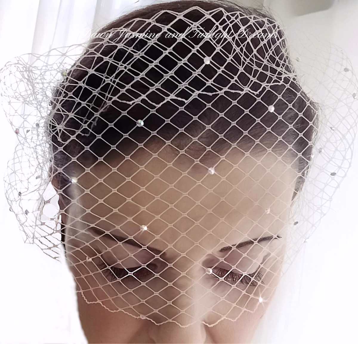 Swarovski Crystal Bandeau Birdcage Veil | The Grace