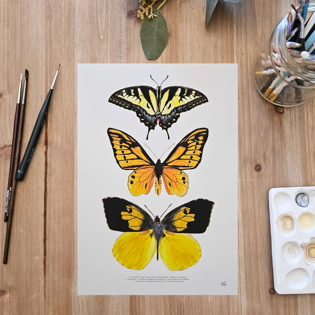 Watercolour Art Print - 'Yellow Butterfly Trio'