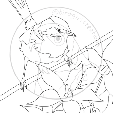 Fair Wren colouring page PDF