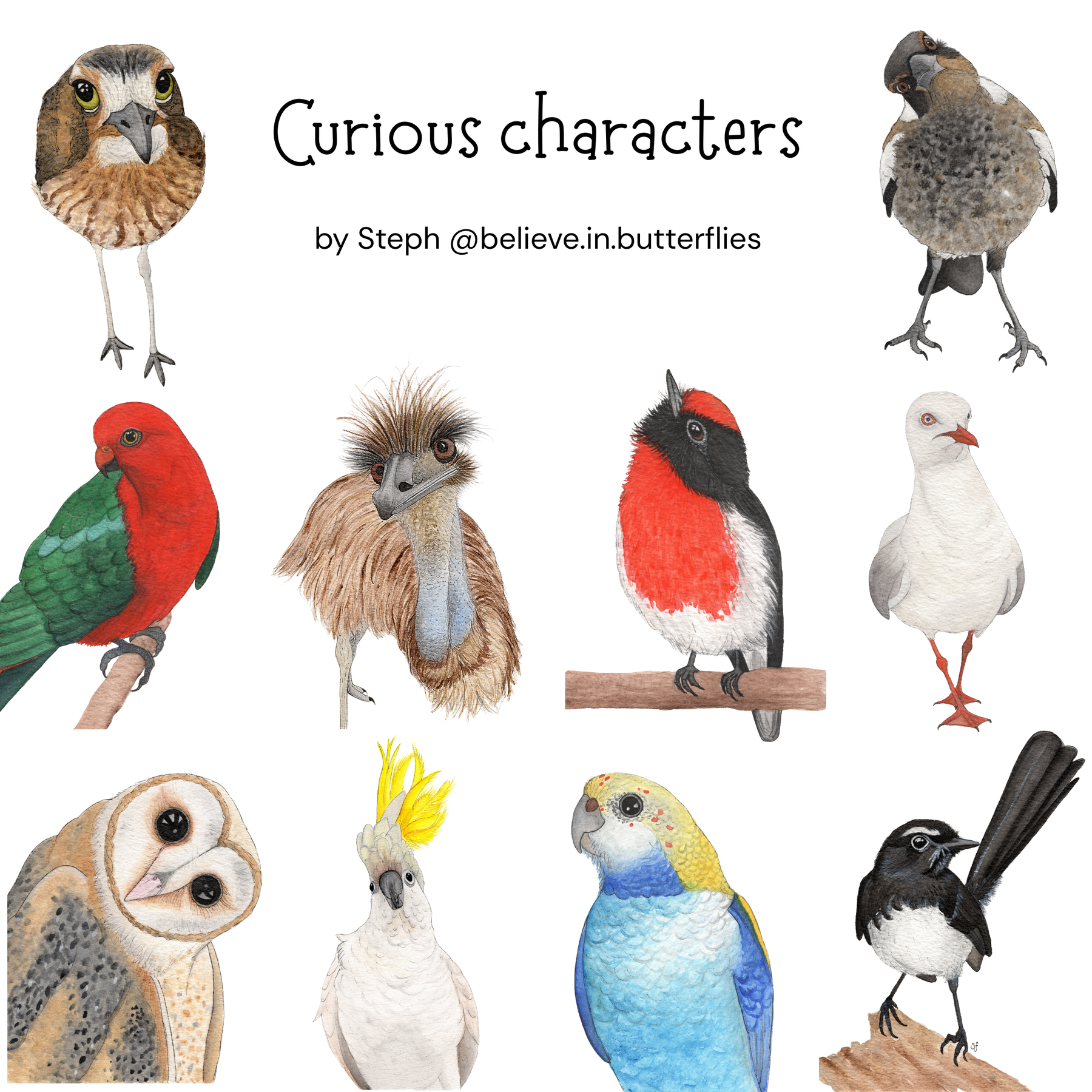 Bird gift tags 10 pack (5 sets available)