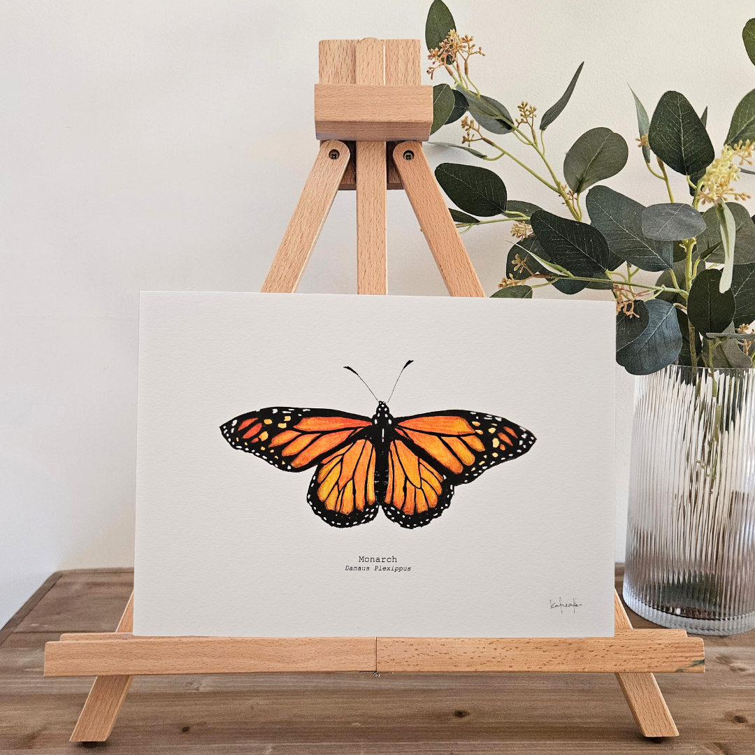 Watercolour Art Print - 'Monarch Butterfly'