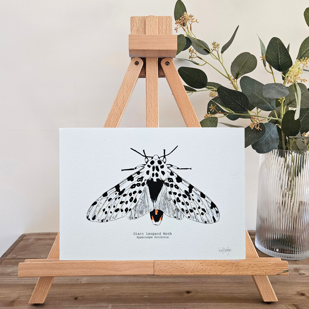 Watercolour Art Print - 'Giant Leopard Moth'