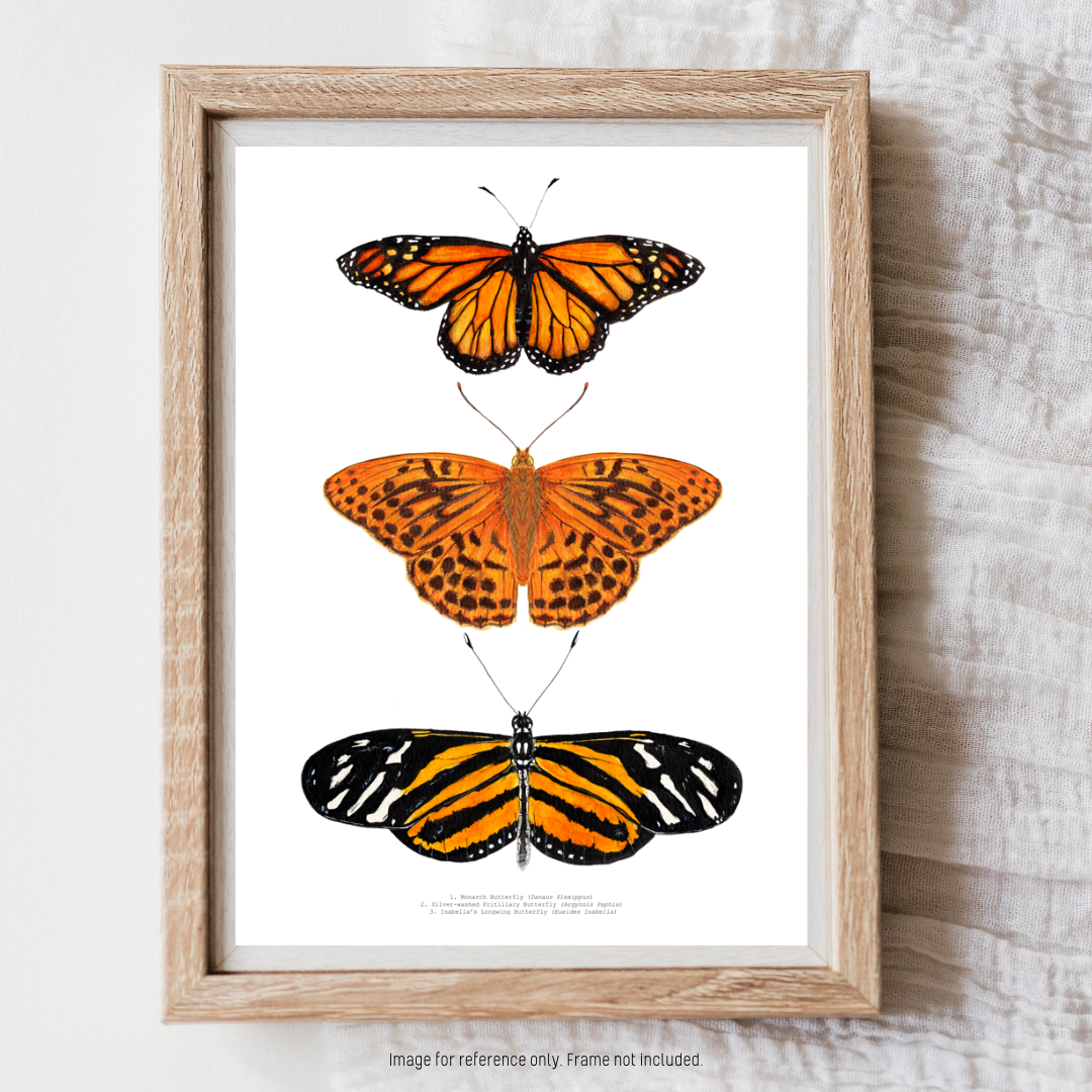 Watercolour Art Print - 'Orange Butterfly Trio'