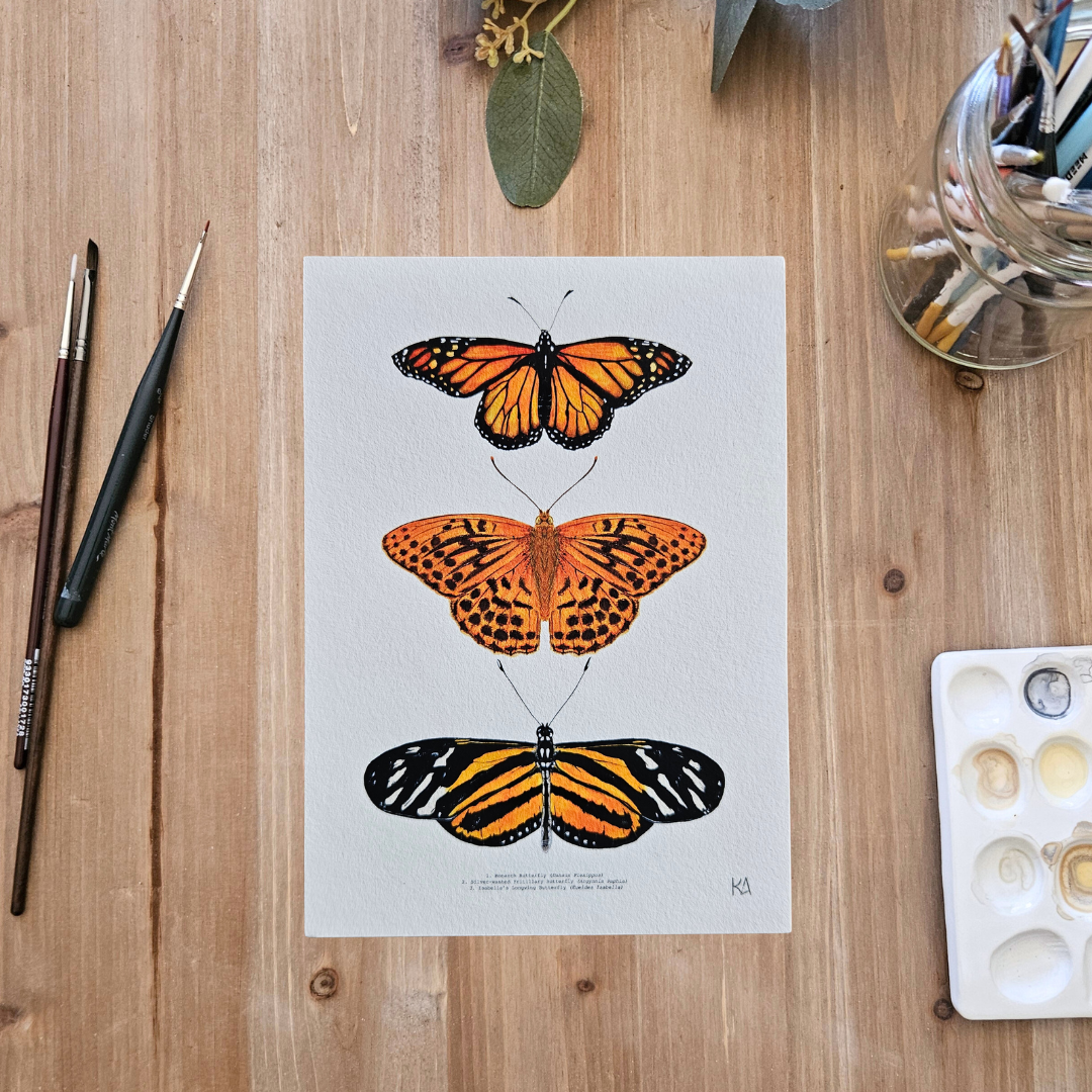 Watercolour Art Print - 'Orange Butterfly Trio'