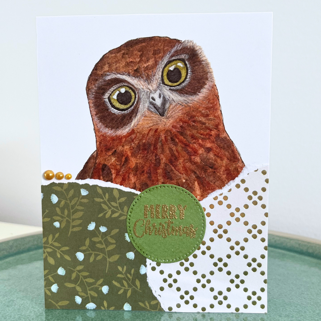Christmas card - owls (choice of options)