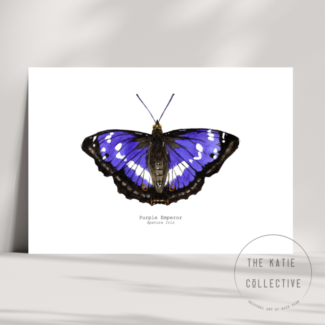 Watercolour Art Print - 'Purple Emperor Butterfly'