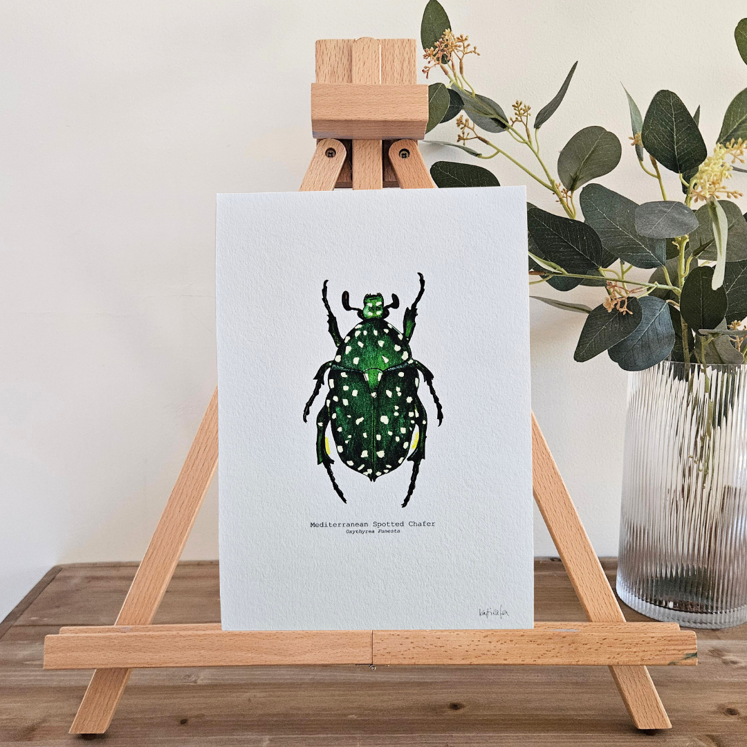 Watercolour Art Print - 'Mediterranean Spotted Chafer'