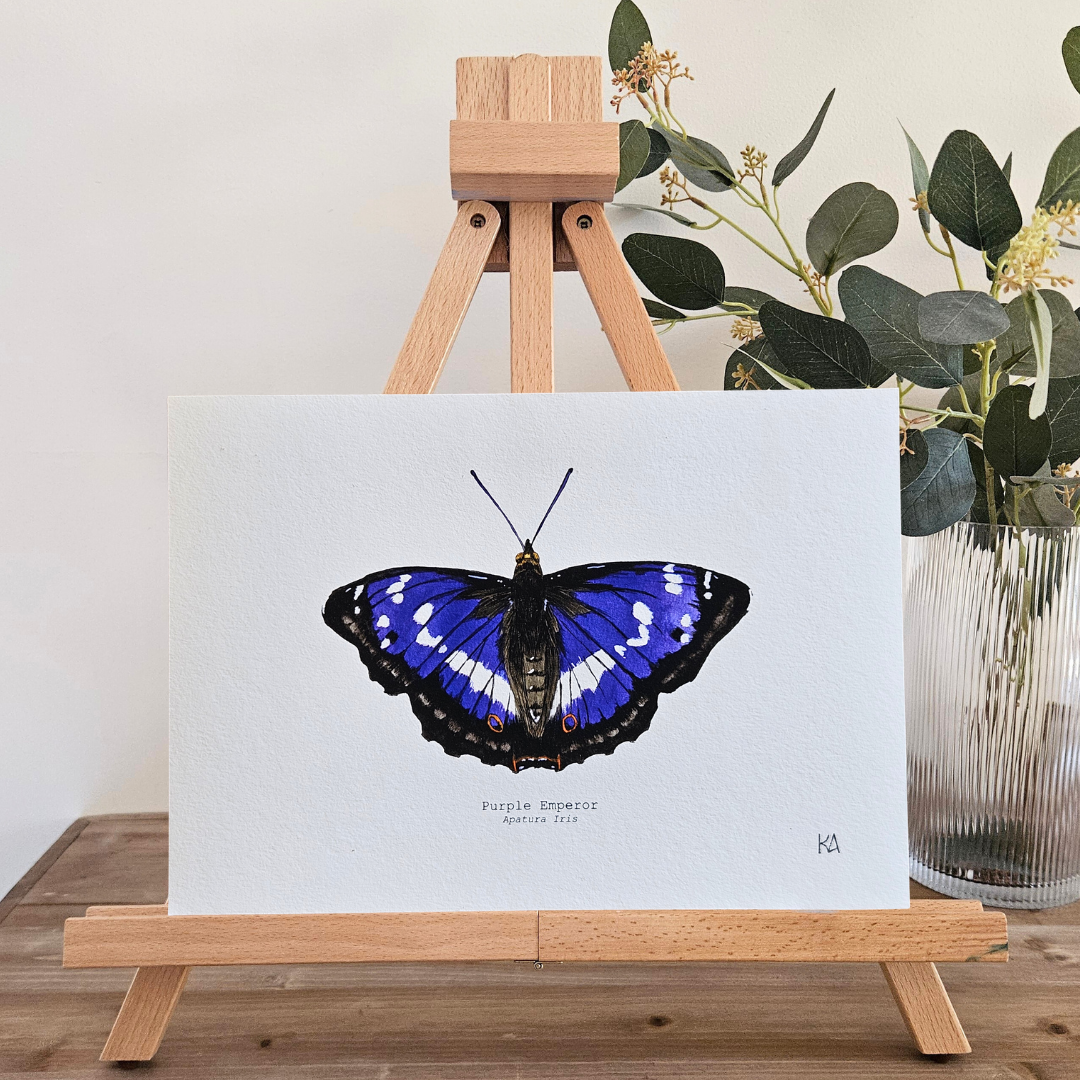 Watercolour Art Print - 'Purple Emperor Butterfly'
