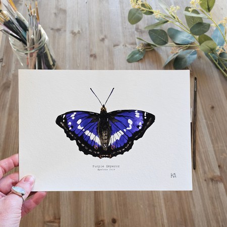 Watercolour Art Print - 'Purple Emperor Butterfly'