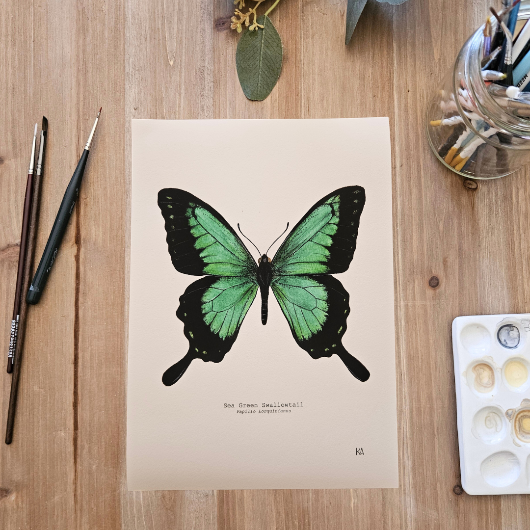 Watercolour Art Print - 'Sea Green Swallowtail Butterfly'
