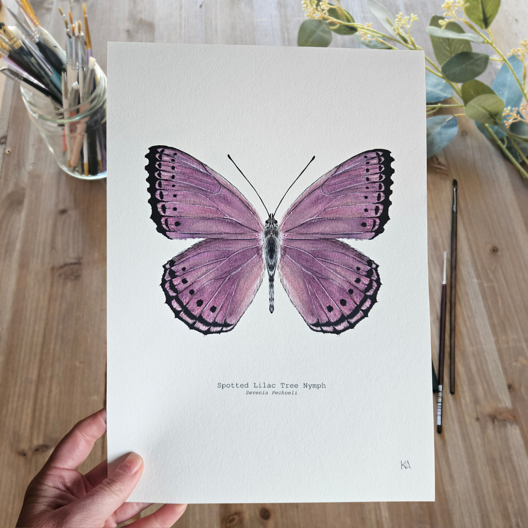 Watercolour Art Print - 'Spotted Lilac Butterfly'